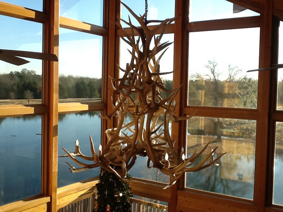 antler chandelier light fixture