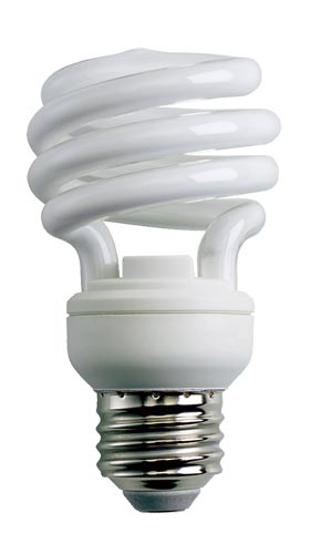 CFL Light Bulb (Compact Fluorescent Light)