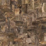 PetrifiedWood_Field_RetroSmallMosaic_CharcoalPolished_12x12