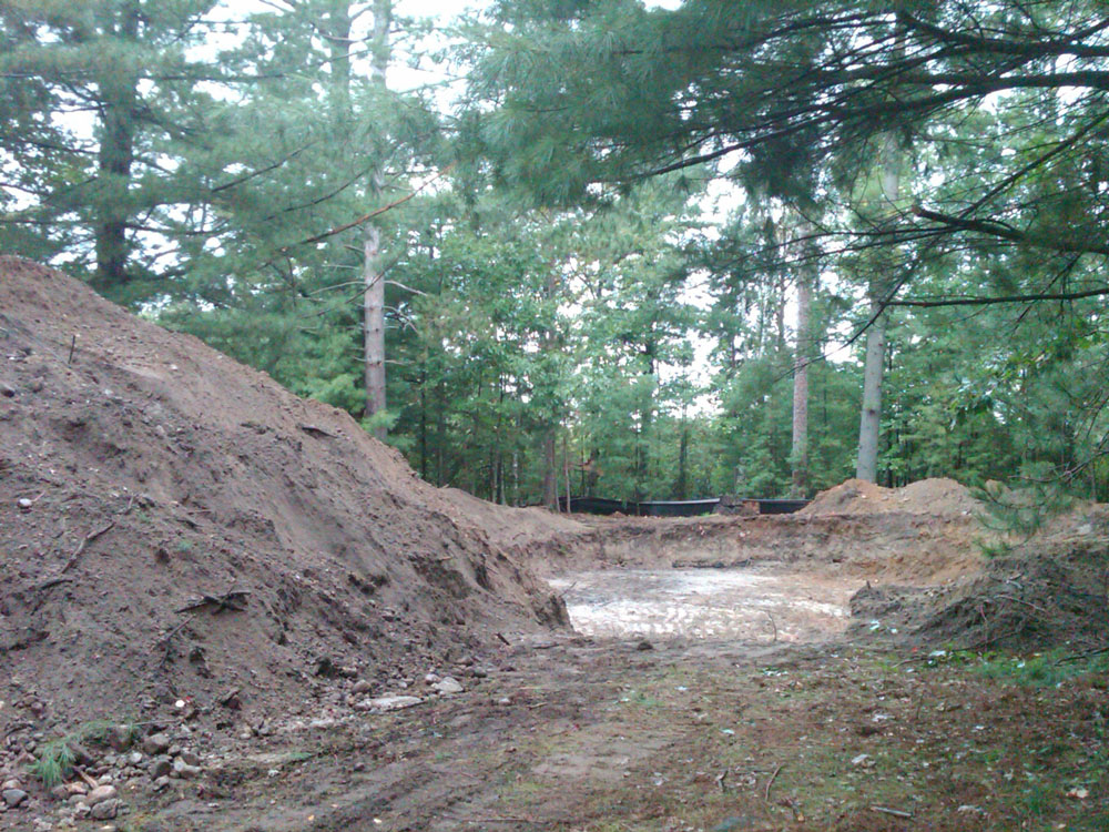 landscape dirt trees