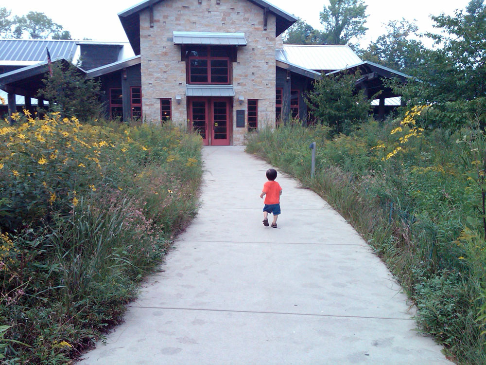 little boy walkway pathway garden