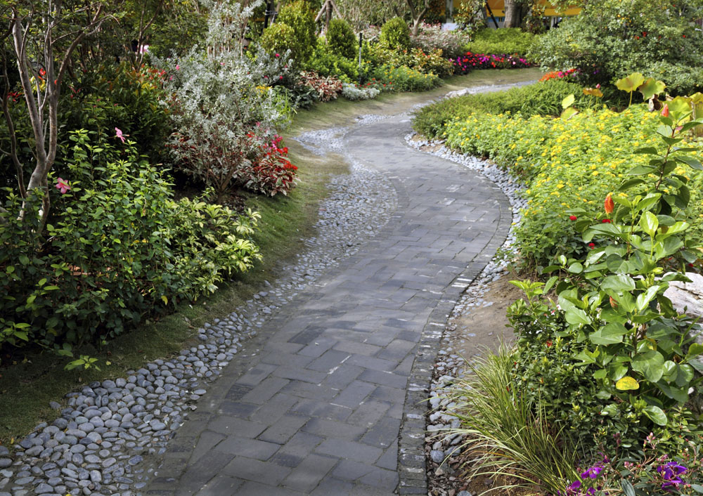 garden pathway flowers stone plants